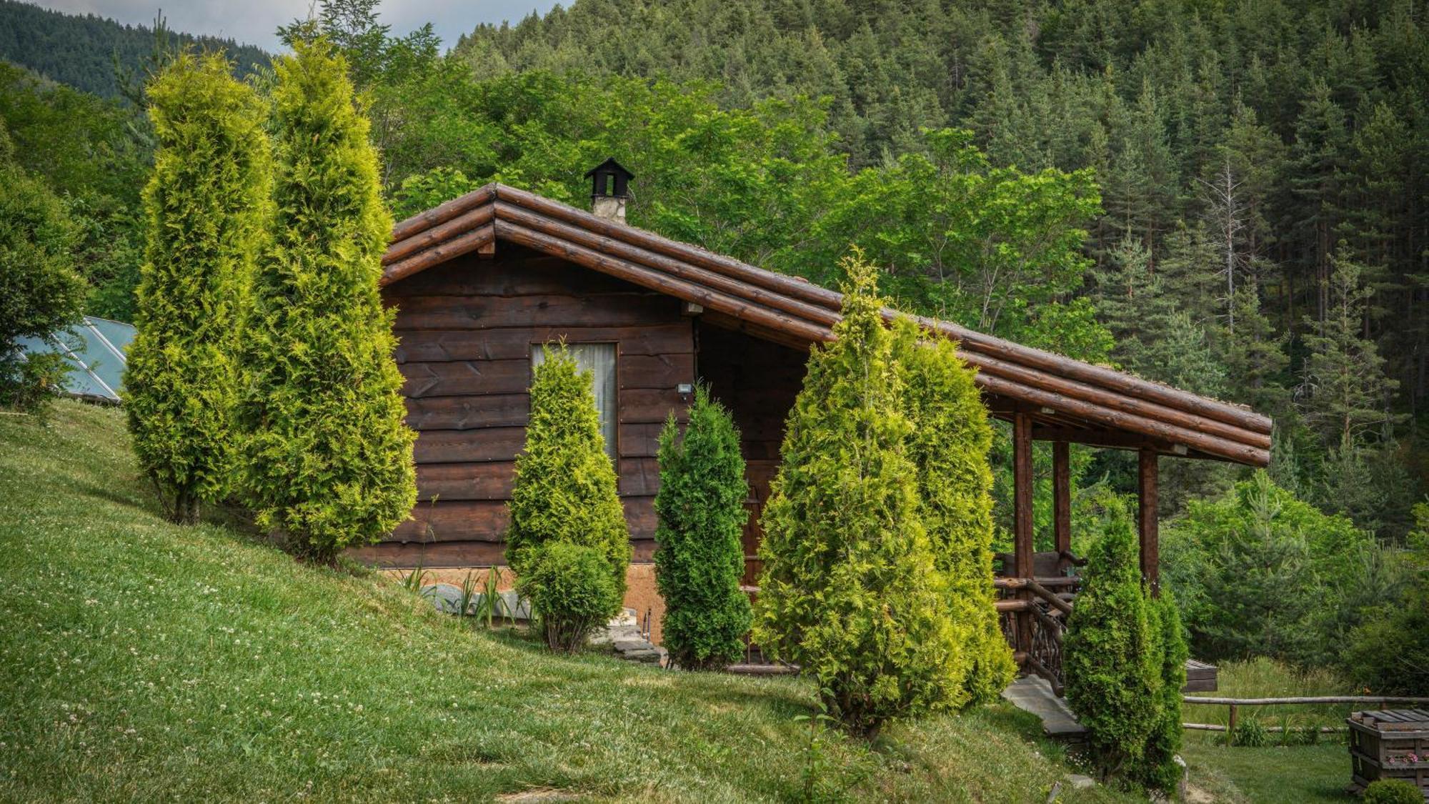 Панорама Хаус Лещен И Еко Къщи Дървена И Землянка エクステリア 写真